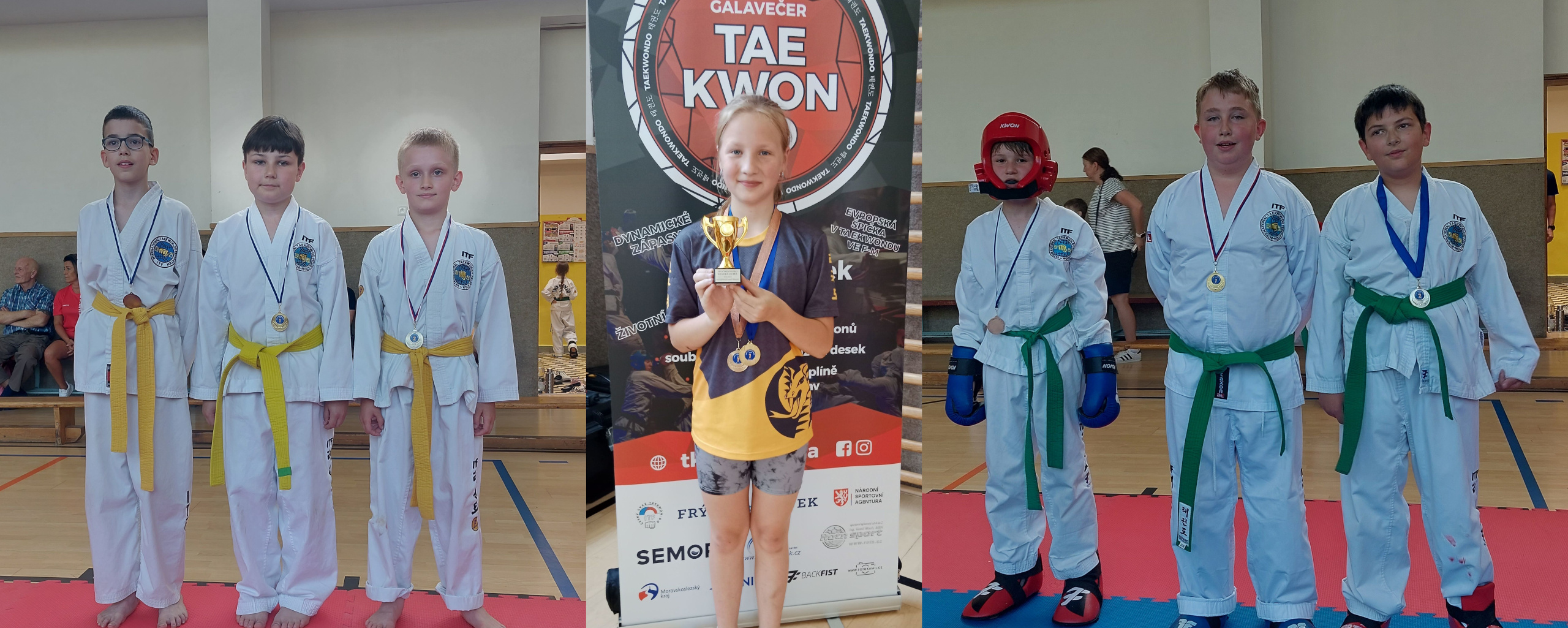 Liga Taekwondo červen 2025